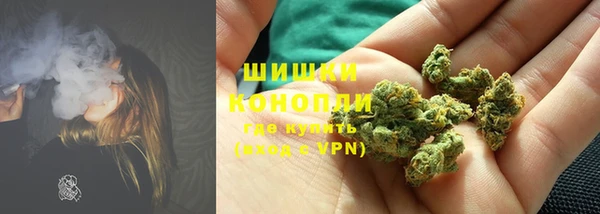 амф Аркадак