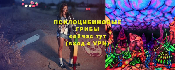 амф Аркадак