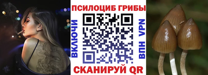 Псилоцибиновые грибы MAGIC MUSHROOMS Приморск